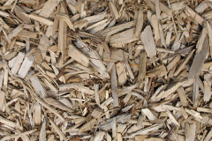 biomass boilers Llangors